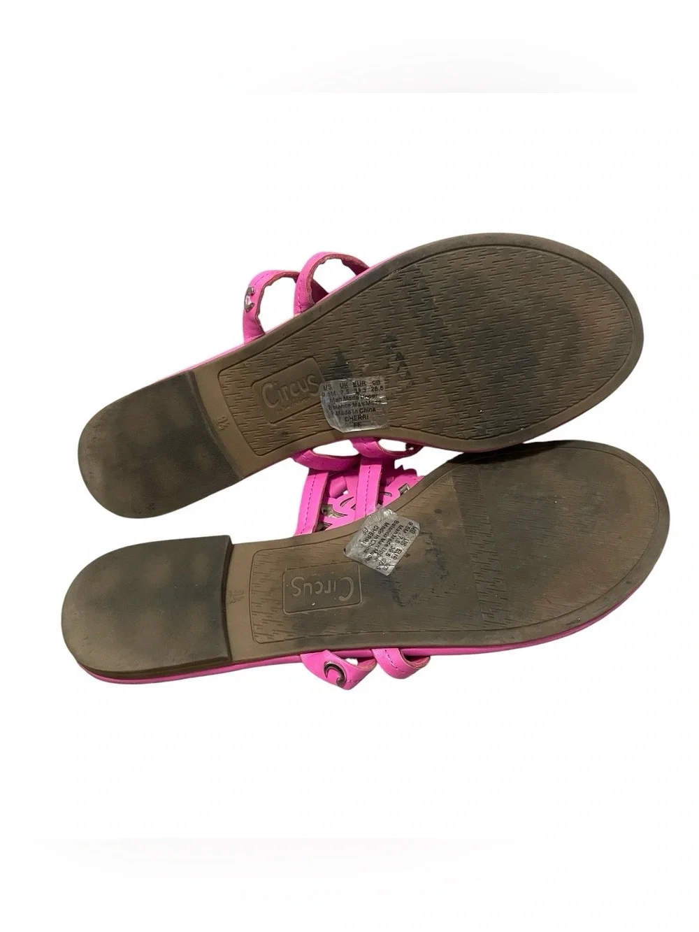 Circus by Sam Edelman Cherri thong sandal